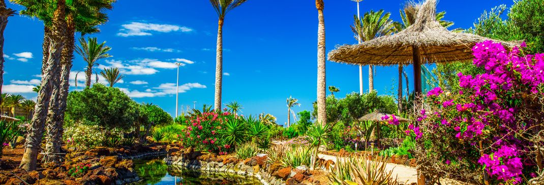 A quick guide to Fuerteventura